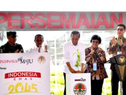 Pentingnya Penghijauan Kembali di IKN, Presiden Jokowi Resmikan Persemaian Mentawir demi Rehabilitasi Hutan Kalimantan