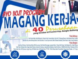 Telah Dibuka! Loker Magang di 40 Perusahaan di Bangka Belitung, Link Pendaftaran Klik di Sini