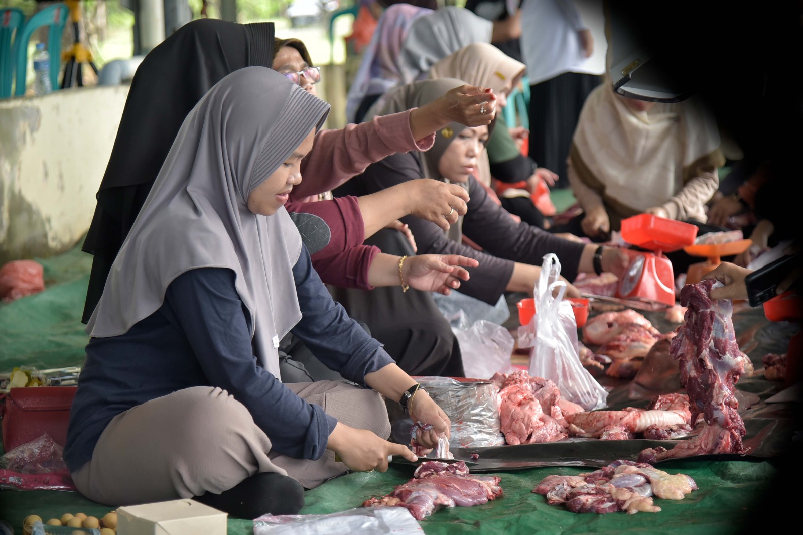 Foto : Panitia kurban Pemkab Babar membersikan daging sapi usai dikurban di halaman parkir barat Kantor Bupati Bangka Barat, pada Rabu (19/6/2024) pagi. (Dok/ Diskominfo Babar)