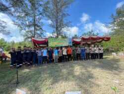Inspiratif! Karang Taruna Gemilang Inisiatif Tanam Ribuan Pohon Mangrove di Pantai Belitung Timur Gandeng PT Timah Tbk