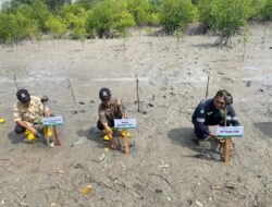 Pemkab Belitung Timur Beri Apresiasi Program Tanggung Jawab Lingkungan dari PT Timah Tbk