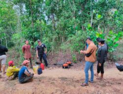 Polisi Tangkap Dua Tersangka Penebangan Liar Kawasan Tahura Bukit Menumbing, Bangka Barat