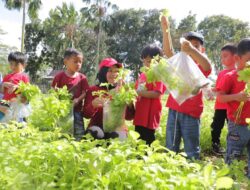 Keseruan Anak TK Panen Sayur di Kebun Rumah Gubernur Babel, Safriati Safrizal: Upaya Menekan Angka Stunting
