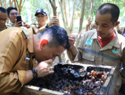 Empat Titik Lokasi di Pangkalpinang Disulap Jadi Objek Wisata yang Menarik Dikunjungi, Salah Satunya Budidaya Ulat Maggot