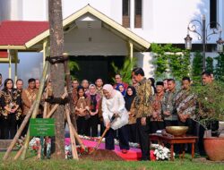 Presiden Jokowi dan Iriana Tanam Pohon di Halaman Istana Kepresidenan Jakarta Jelang Purnatugas