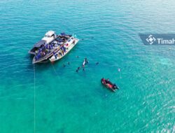 Polairud Babel Gandeng PT Timah Lakukan Transplantasi Terumbu Karang di Bangka Tengah
