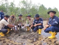 PT Timah Tbk Tanam Ribuan Mangrove di Pantai Batu Kucing, Kolaborasi dengan Masyarakat Desa Gemuruh