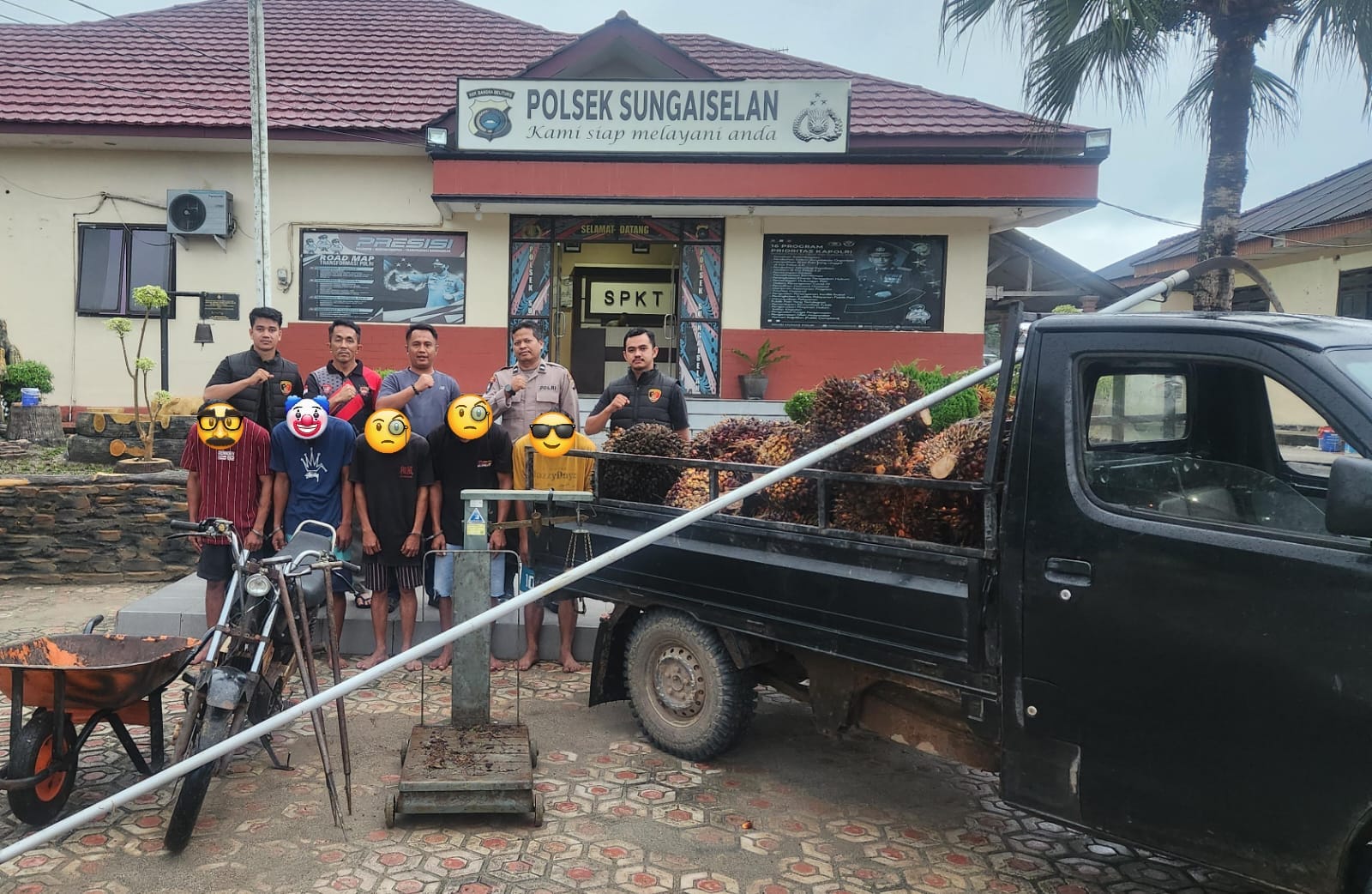 Caption: Polsek Sungaiselan amankan 5 pelaku diduga curi buah sawit, di Dusun Rek-Rek, Desa Munggu, Kecamatan Sungaiselan. (Ist/Polsek Sungaiselan).