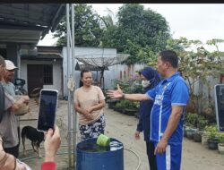 Cegah DBD di Musim Hujan, Pemdes Sekarbiru Bagikan Ikan Nila ke Warganya