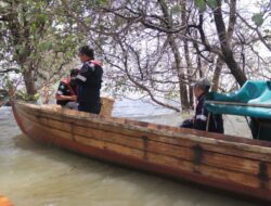 PT Timah Tbk Lepaskan Ribuan Bibit Kepiting Bakau di Perairan Kundur dan Karimun, Upaya Jaga Ekosistem Pesisir