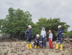 PT Timah Berhasil Tanam Ratusan Ribu Mangrove Dukung Target Net Zero Emission