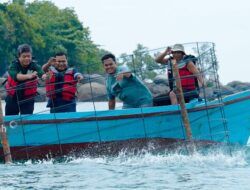 Komitmen PT Timah Jaga Ekosistem Laut dan Dukung Wisata Bahari, Tenggelamkan Ratusan Coral Garden