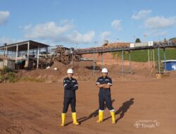 Upaya PT Timah Tingkatkan Kinerja Perusahaan serta Optimalkan Kontribusi untuk Negara