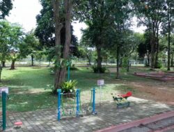 TINS Green Garden Foresttree, Ruang Terbuka Hijau yang Dikelola PT Timah untuk Dukung Gaya Hidup Sehat