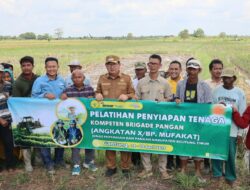 Bupati Beltim Ingin Produksi Beras Ditingkatkan, Perkuat Ketahanan Pangan Lokal