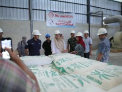 Momen Wagub Hellyana Kunjungi Pabrik Tapioka PT BAA, Turut Promosikan Produk Sagomee
