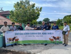Jelang Idul Adha, PT Timah Rutin Salurkan Hewan Kurban di Bangka Barat