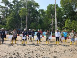 Peringatan Hari Lingkungan Hidup Sedunia, PT Timah Turut Tanam Ribuan Pohon Mangrove di Pesisir Pantai