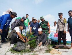 PT Timah Tanam Pohon Peneduh di Kawasan Wisata Batu Tunggal, Upaya Pelestarian Lingkungan dan Pariwisata Berkelanjutan