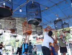 Polda Babel Gelar Lomba Burung Berkicau, Ramai Diikuti Ratusan Kicau Mania di Pulau Bangka