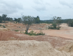 Ada Tambang Ilegal Dekat Aset Pemda Babar, Yus Derahman Akan Surati KLHK