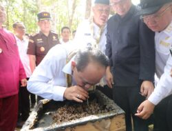 Contoh Nyata Implementasi Kop-UKM, Gubernur Hidayat Arsani Ajak Menkop Tinjau Potensi Desa Namang