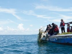 Coral Garden PT Timah: Kolaborasi Rawat Laut yang Hasilkan Ikan, Wisata, dan Harapan Baru