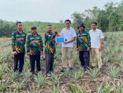 Perkuat Ekonomi Masyarakat Lokal, PT Timah Bantu Petani di Kundur Lewat Bibit Tanaman