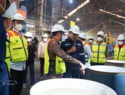 Mendiktisaintek Dorong PT Timah Jadi Pelopor Pengembangan Logam Tanah Jarang di Indonesia