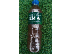 Limbah MBG Disulap Jadi Inovasi Ekonomi Hijau, Eco Enzyme Kaya Manfaat