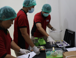 BGN Wajibkan Rapid Test Makanan Bergizi Gratis di Seluruh SPPG Pekan Depan