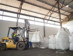 Kenaikan NIUJP PT Timah Tbk Bawa Angin Segar bagi Penambang Rakyat