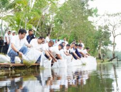 PT Timah Tbk Tebar Belasan Ribu Bibit Ikan di Beberapa Kolong Bekas Tambang