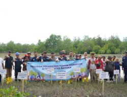 PT Timah Tbk Tanam 5000 Bibit Mangrove di Pantai Takari, Komitmen Bantu Lestarikan Ekosistem Pesisir