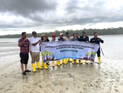 PT Timah Tbk Tanam Mangrove di Belitung, Perkuat Ketahanan Pesisir dan Ekonomi Masyarakat Lokal