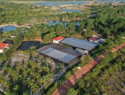 Dari Reklamasi hingga Mangrove, PT Timah Turut Dukung Pemulihan Lingkungan Berkelanjutan