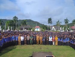 Momen Bupati Fery Insani Serahkan SK Pengangkatan PPPK Paruh Waktu Kabupaten Bangka