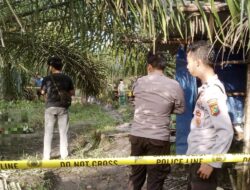 Soleh Ditemukan Meninggal di Kebun Sawit Desa Mislak, Polisi: Tidak Ada Unsur Kekerasan
