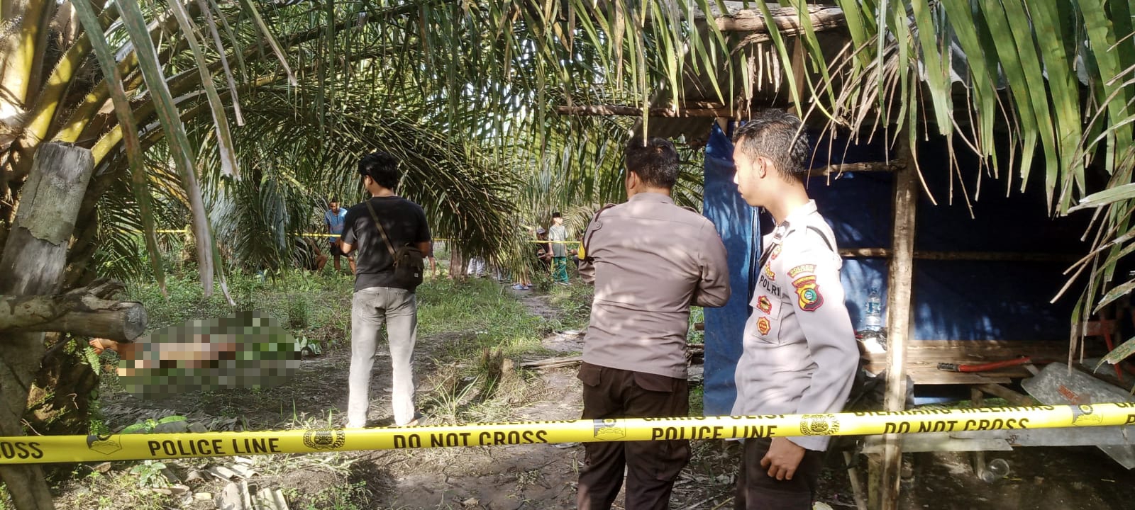 Caption : Polsek Jebus olah tempat kejadian perkara (TKP) penemuan mayat di Kebun Sawit Desa Mislak Jebus, Bangka Barat, Pada Senin (22/12/2025). (Ist/Polsek Jebus).