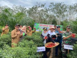 Momen Wabup Debby Panen Raya Cabai di Bangka Selatan, Dukung Kemajuan Sektor Pertanian