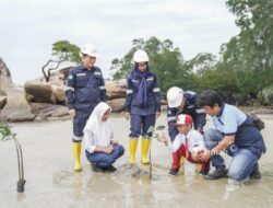Edukasi Pelajar Soal Lingkungan, PT Timah Tbk Soroti Program Tanam Mangrove