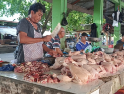 Harga Ayam Potong Tembus Rp40 Ribu per Kg di Mentok