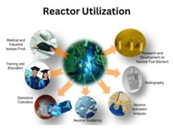 Dunia Mulai Berdamai dengan Nuklir: Saat Ketakutan Kalah oleh Kebutuhan Energi
