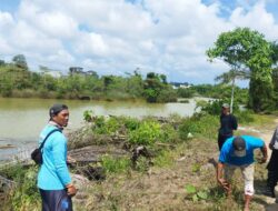 Diserang Buaya di Pinggir Kolong Tambang, Warga Sekar Biru Alami Luka di Kaki