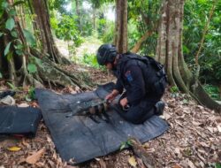 Tim Penjinak Bom Satbrimob Babel Musnahkan Mortir di Pantai Tanjung Ular Bangka Barat
