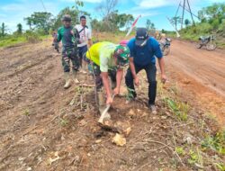 Hijaukan Pulau Lepar, Satgas TMMD ke-127 Kodim 0432/Basel Bersama Warga Tanam Pohon Keras