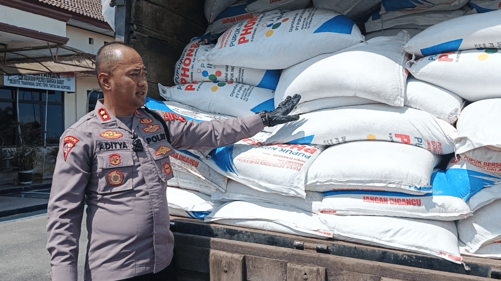 Kapolres Bangka Barat, AKBP Pradana Aditya Nugraha, memeriksa barang bukti pupuk bersubsidi yang diamankan. (Babelhits.com/**)