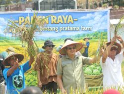 Panen Raya dan Peresmian Bintang Pratama Farm, Markus Dorong Pertanian Modern dan Terpadu