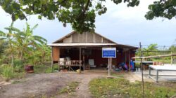 PT Timah Berdayakan Kelompok Wanita Tani Hasilkan Produk Belacan Cinta