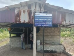 Upaya PT Timah Perkuat Ekonomi Lokal Lewat Peternakan Ayam Kampung di Kabupaten Karimun